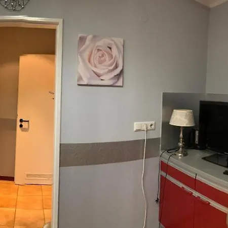 招待所 Fischerspension 阿伦斯堡